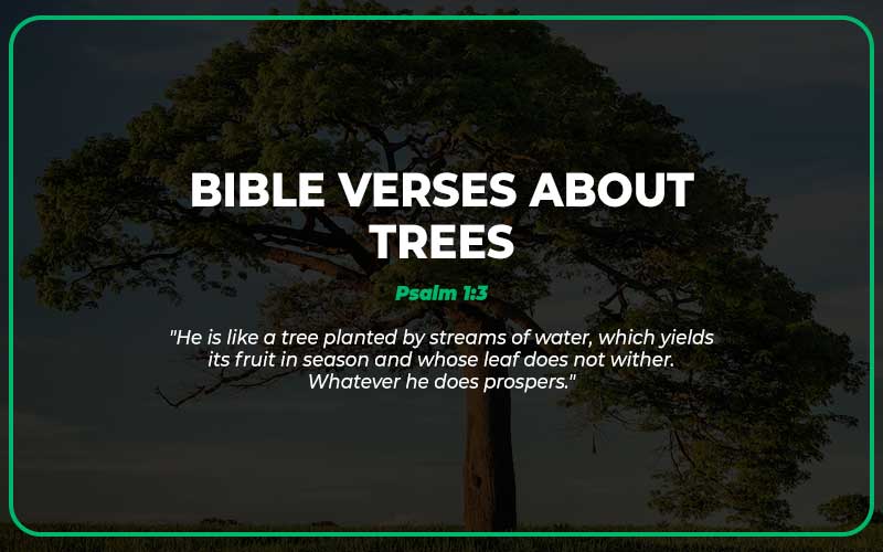 Bible Verses About Trees