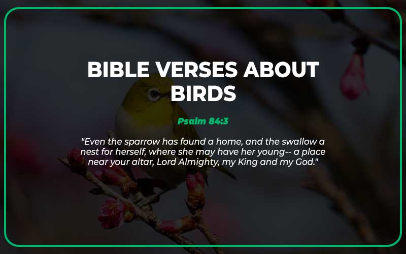 Bible Verses About Birds