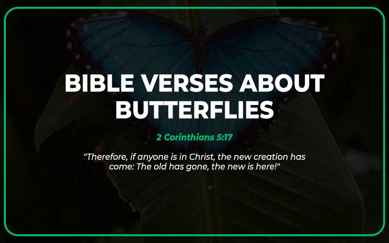 Bible Verses About Butterflies