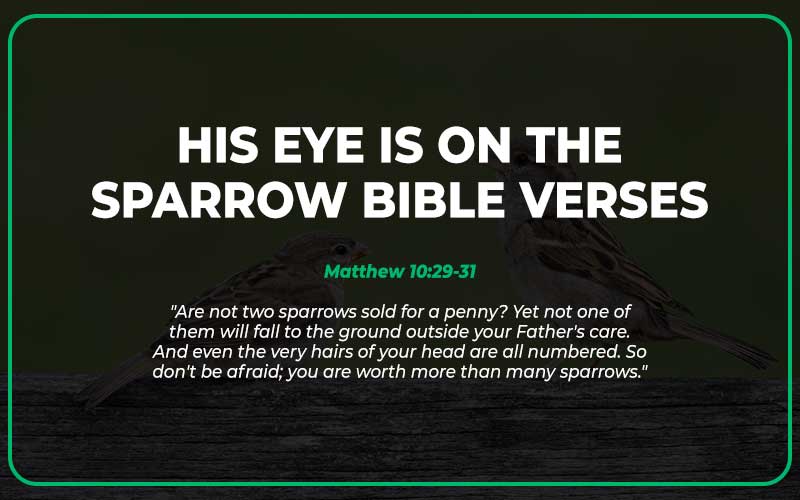 His Eye Is on the Sparrow Bible Verses