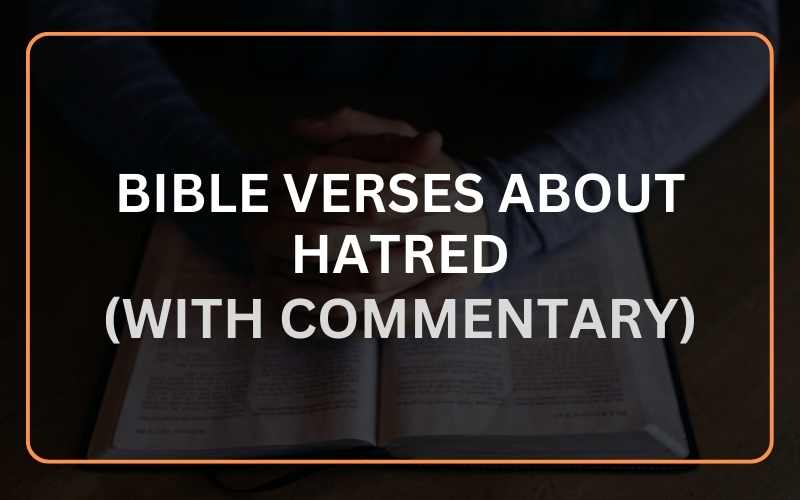 Bible Verses About Hatred