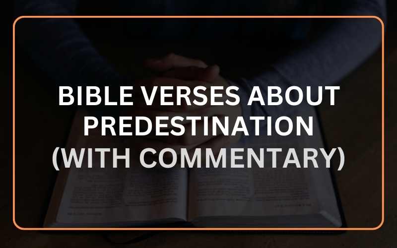 Bible Verses About Predestination