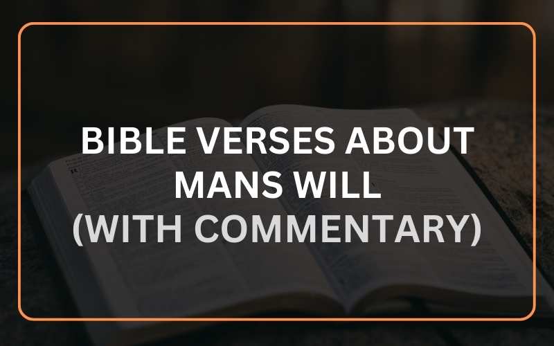 Bible Verses About Mans Will