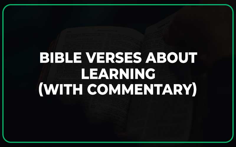 Bible Verses About Learning