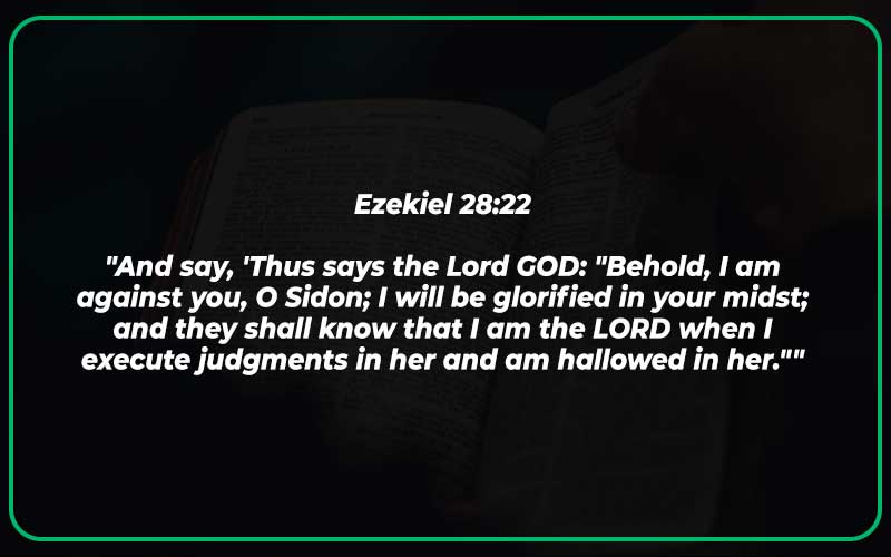 What does the Bible say About the King of Tyre