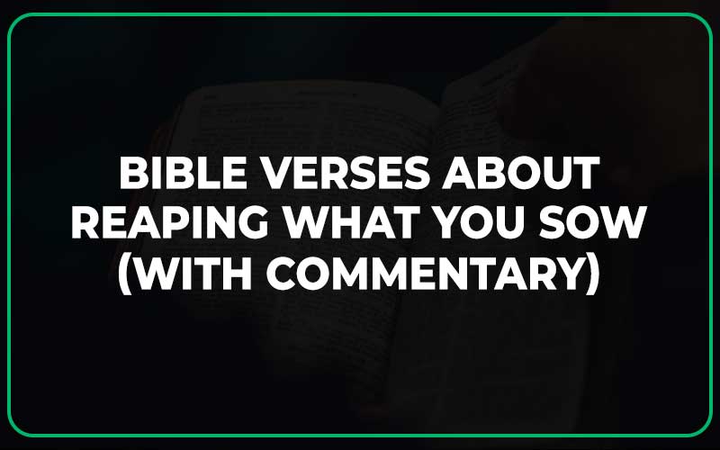 Bible Verses About Reaping What You Sow