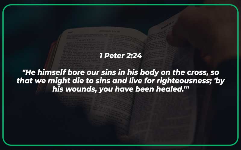 1 Peter 2:24