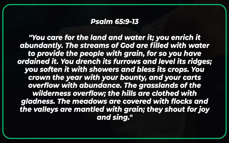 Psalm 65:9-13