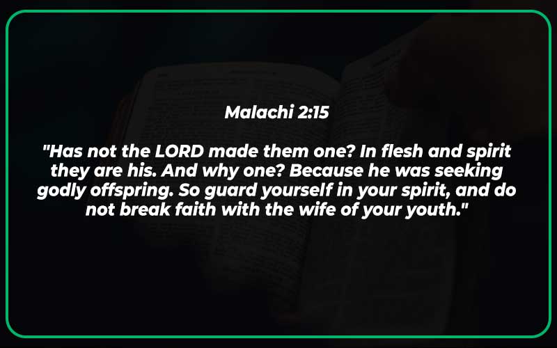 Bible Verses About Husbands