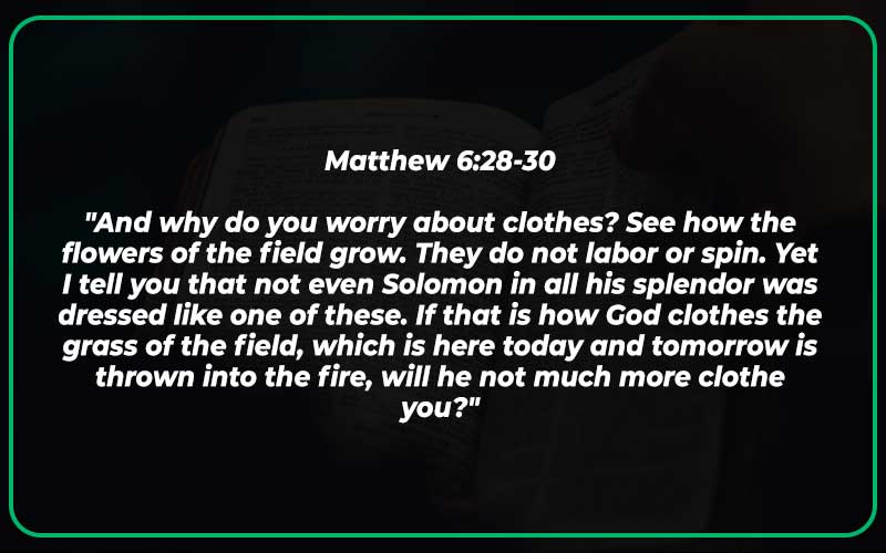 Bible Verses About Nature