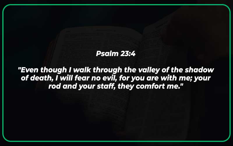 Bible Verses About the Enemy