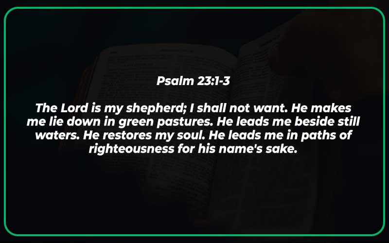 Sheep Without a Shepherd