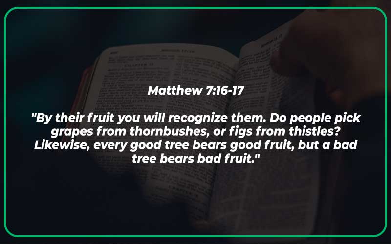Matthew 7:16-17