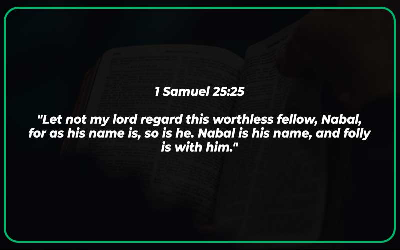 1 Samuel 25:25
