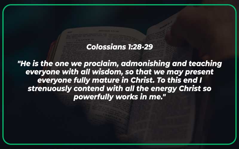 Bible Verses About Perfection