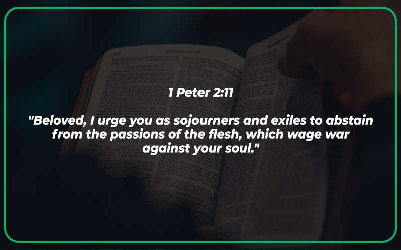 Bible Verses About This World Is Not My Home