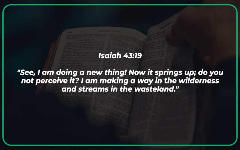 Bible Verses About What God Has for You Is for You