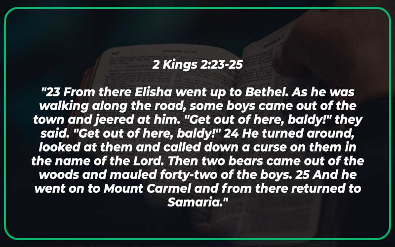 2 Kings 2:23-25