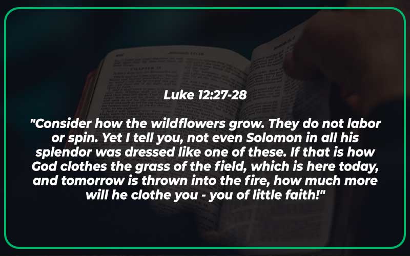 Bible Verses About Care