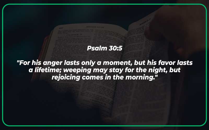 Bible Verses About Disappointment