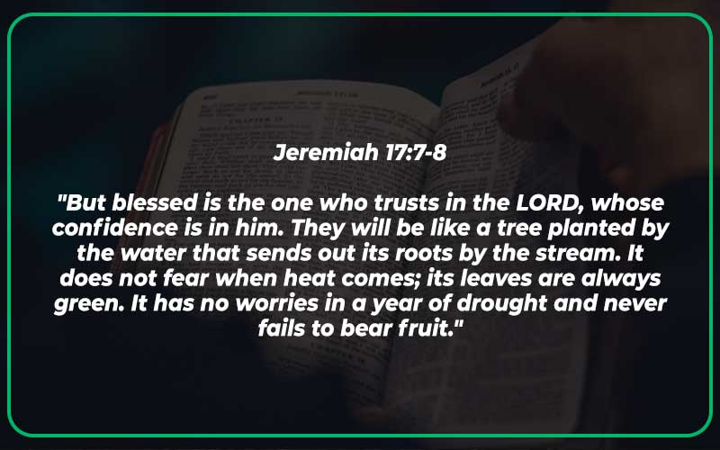 Bible Verses About Love and Trust