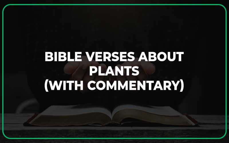 Bible Verses About Plants
