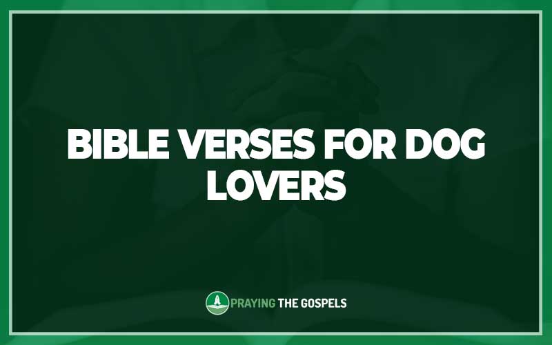 20+ Important Bible Verses for Dog Lovers - Explaining The Bible