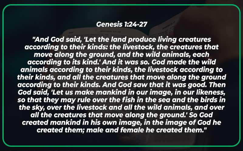 Genesis 1:24-27