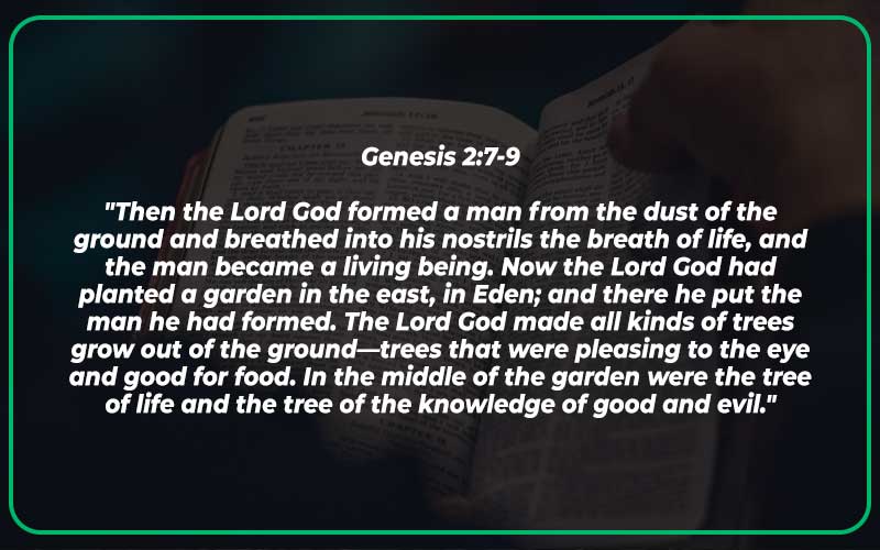 Genesis 2:7-9