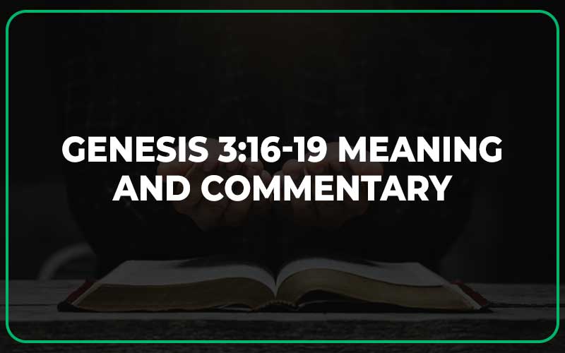 Genesis 3:16-19 Meaning and Commentary