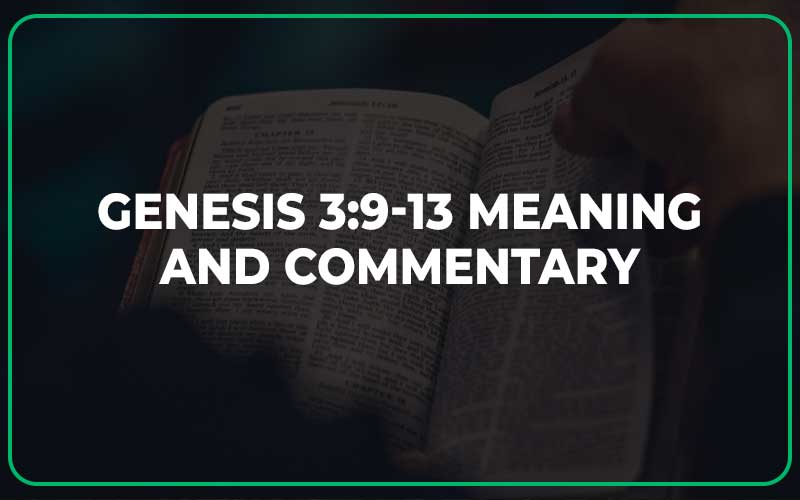 Genesis 3:9-13 Meaning and Commentary