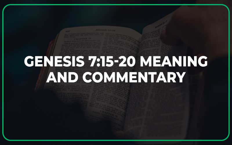 Genesis 7:15-20 Meaning and Commentary