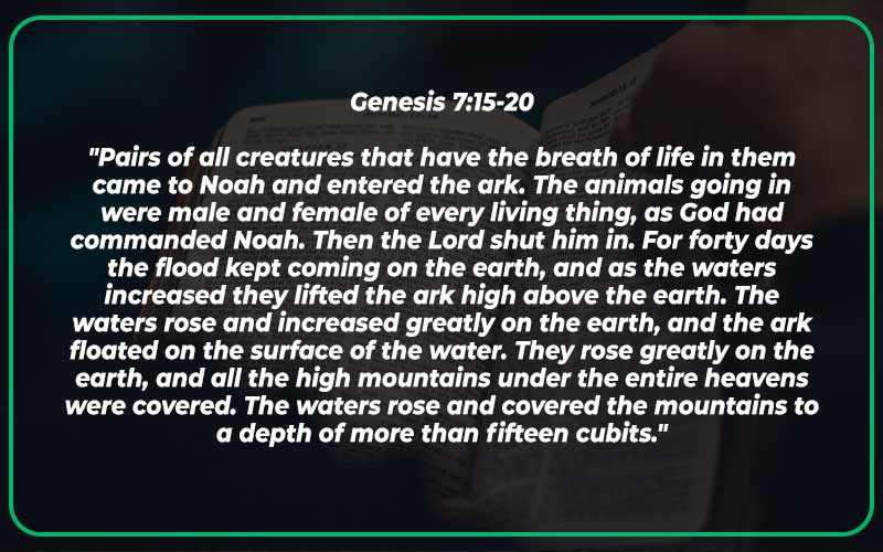 Genesis 7:15-20 Meaning and Commentary