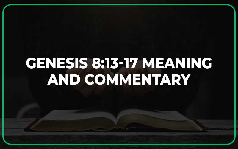Genesis 8:13-17 Meaning and Commentary