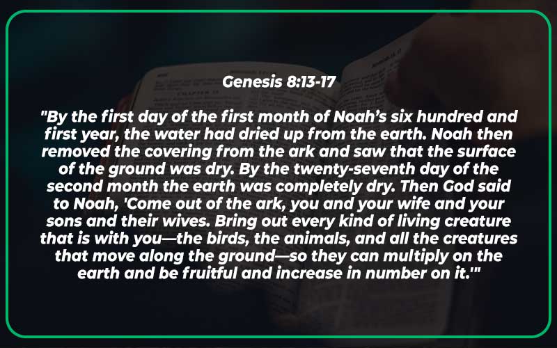Genesis 8:13-17 Meaning and Commentary