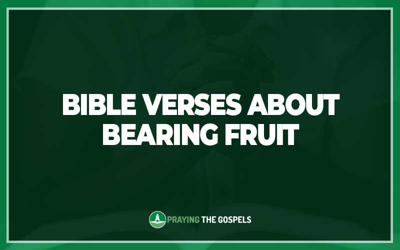 Bible Verses About Bearing Fruit