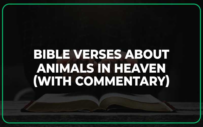 Bible Verses About Animals In Heaven