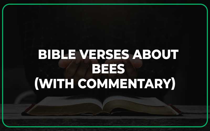 Bible Verses About Bees