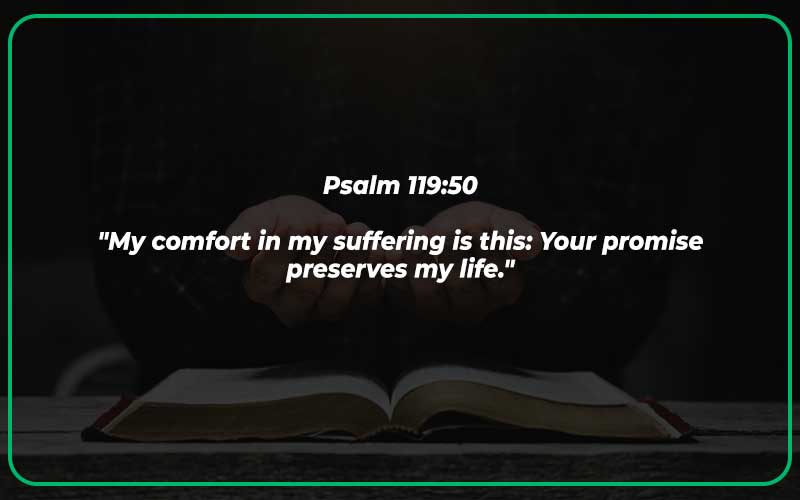 Bible Verses About Hurt