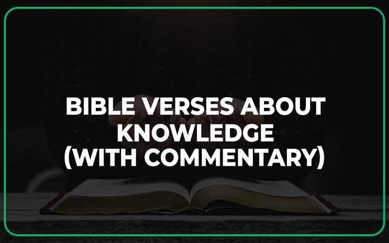 Bible Verses About Knowledge