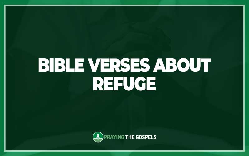 Bible Verses About Refuge