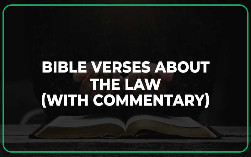 Bible Verses About The Law