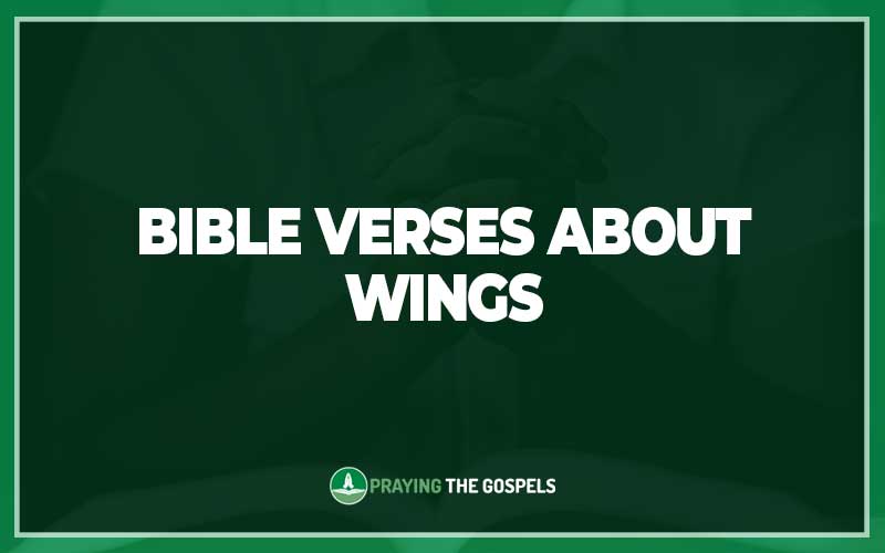 Bible Verses About Wings