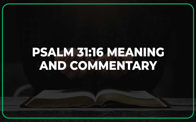 Psalm 31:16 Meaning and Commentary
