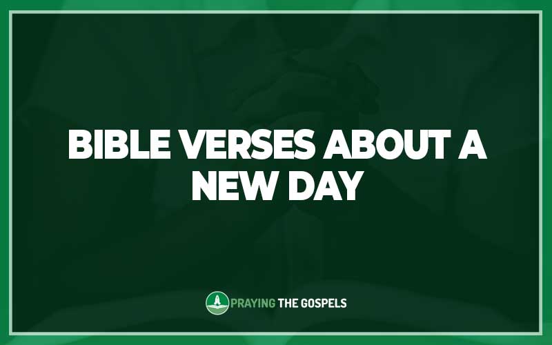 Bible Verses About A New Day