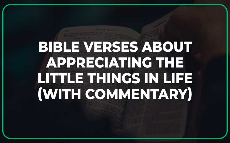 Bible Verses About Appreciating The Little Things In Life