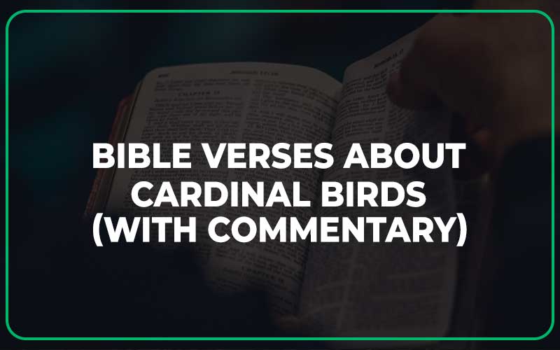 Bible Verses About Cardinal Birds