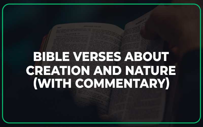 Bible Verses About Creation And Nature