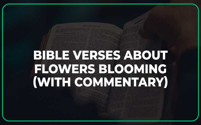 Bible Verses About Flowers Blooming