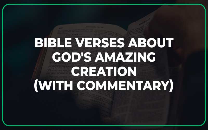 Bible Verses About God's Amazing Creation